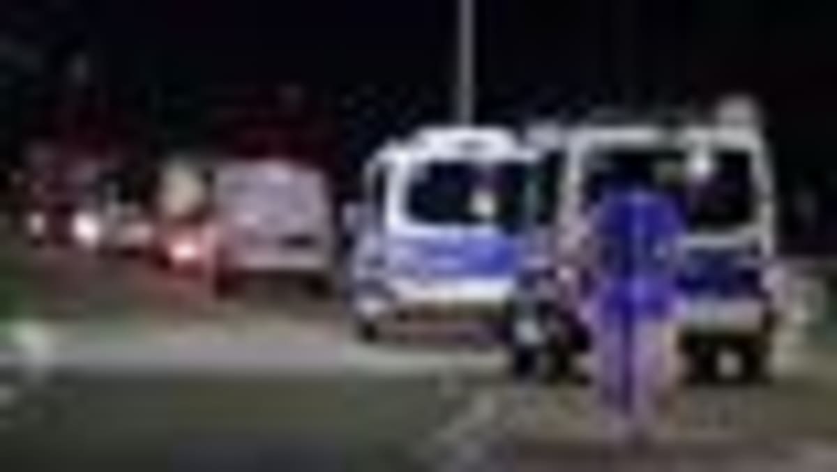 Rescuers Race to Free Stranded Whale off German Coast - Image 2