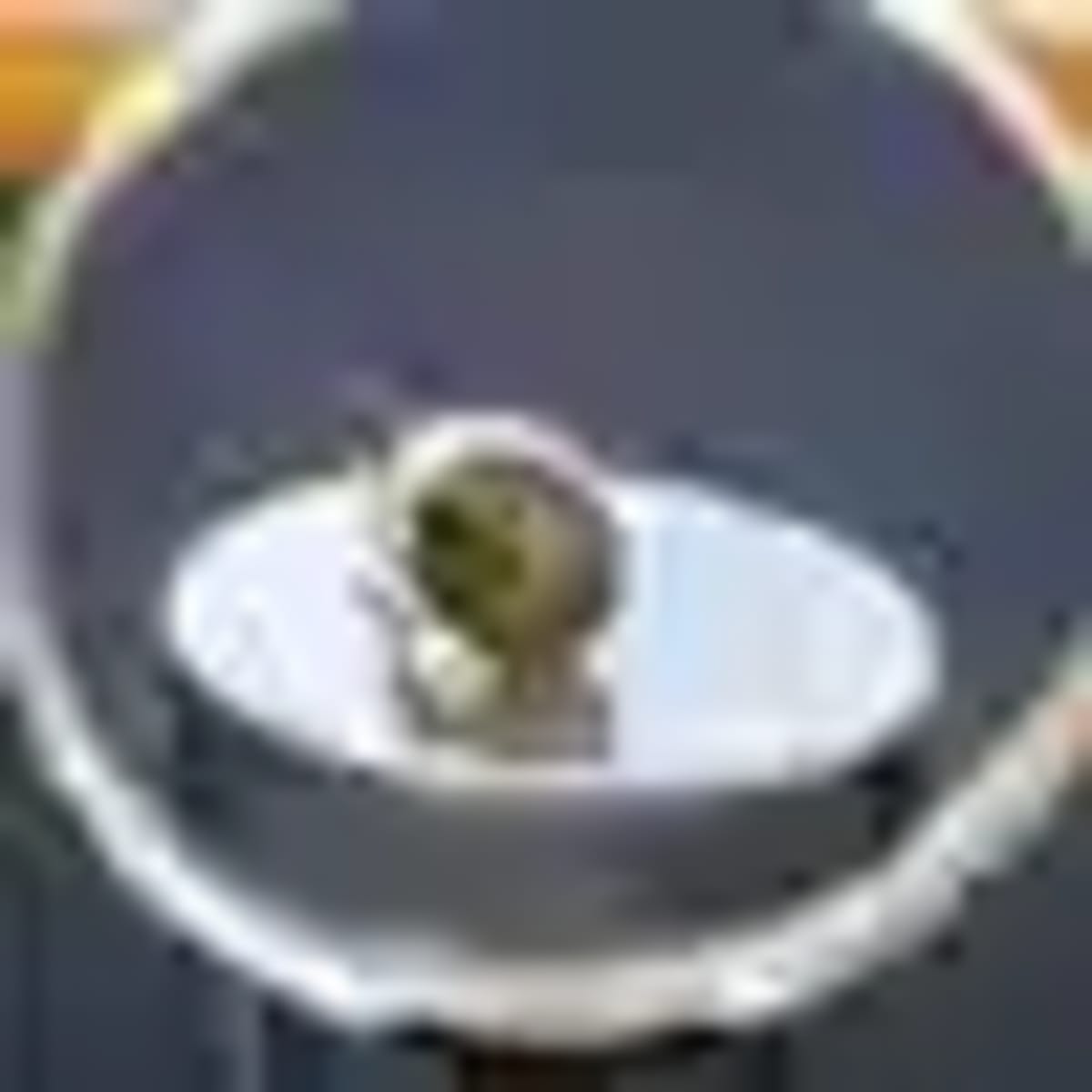 Berlin Teen Finds First Ancient Greek Coin in Germany - Image 2