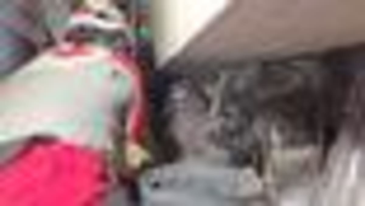 Man Rescued Alive 8 Days After Venezuela Earthquakes - Image 2
