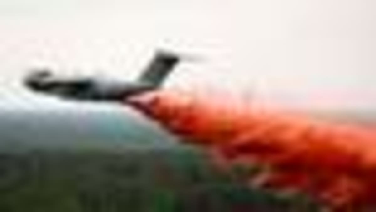 Europe's Firefighting Network Saves France From Wildfires - Image 2