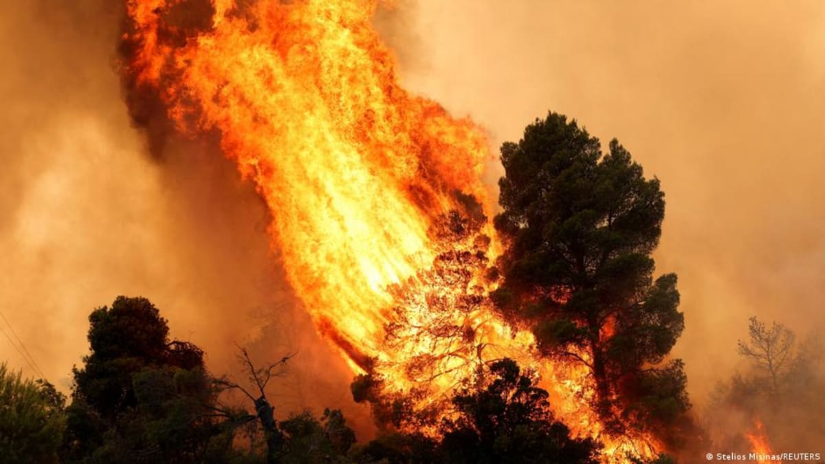 Europe Gets Blueprint to Cut Wildfire Damage by 90%