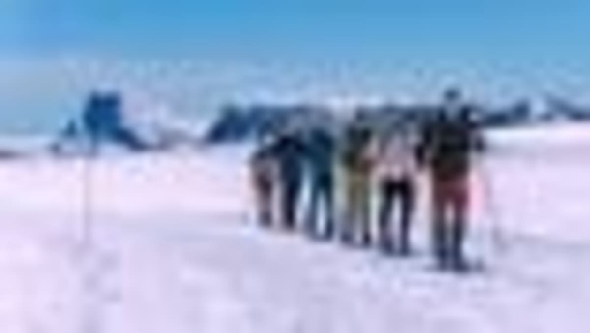 Norway Tour Operators Protect Eagles Over Tourist Dollars - Image 2