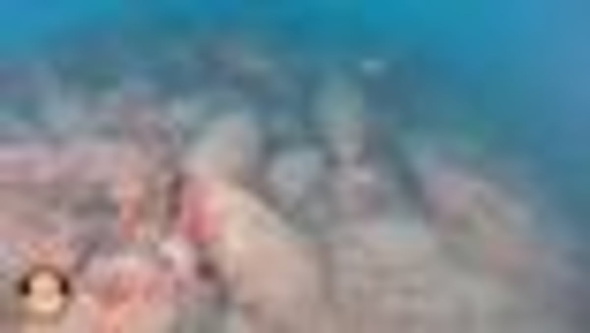 Divers Find 2,100-Year-Old Roman Shipwreck Off Sicily - Image 2