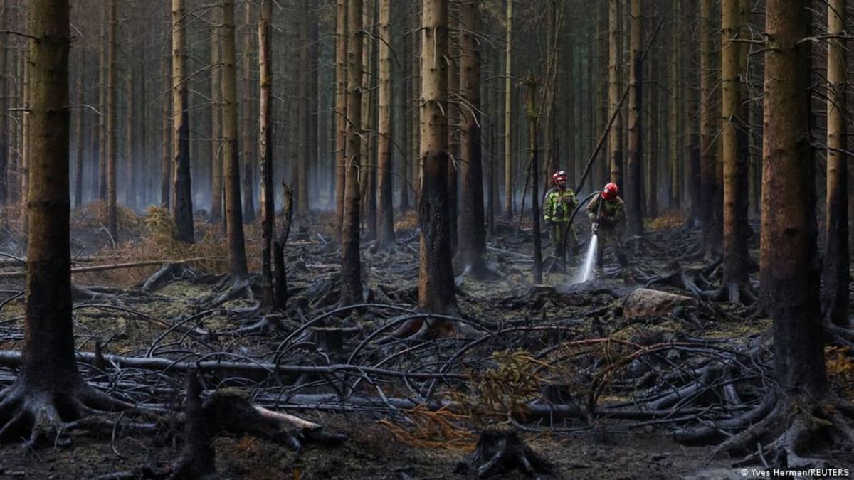 Rain Helps Belgium Contain Its Largest Wildfire in 100 Years