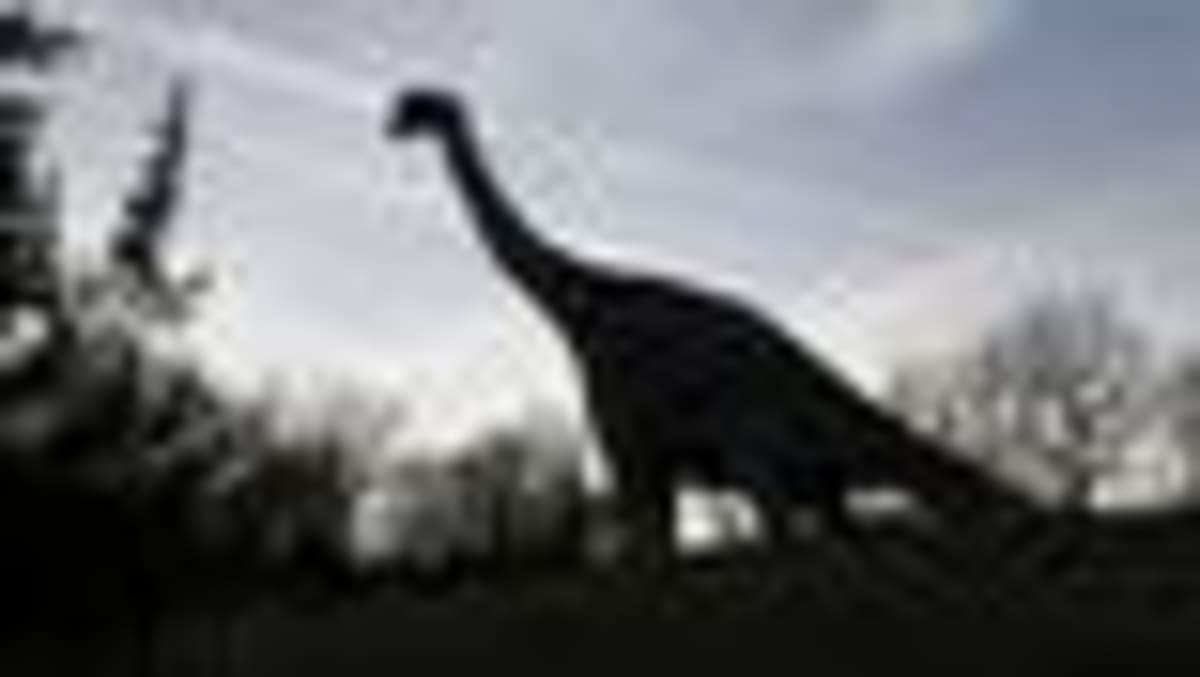 Spain Unearths First Diplodocus Bones Ever Found in Europe - Image 2