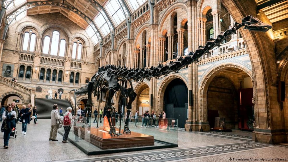 Spain Unearths First Diplodocus Bones Ever Found in Europe