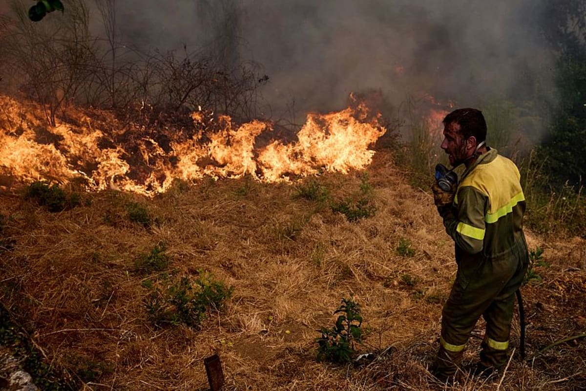 Spain Launches Biggest Forest Fire Defense in History - Image 3