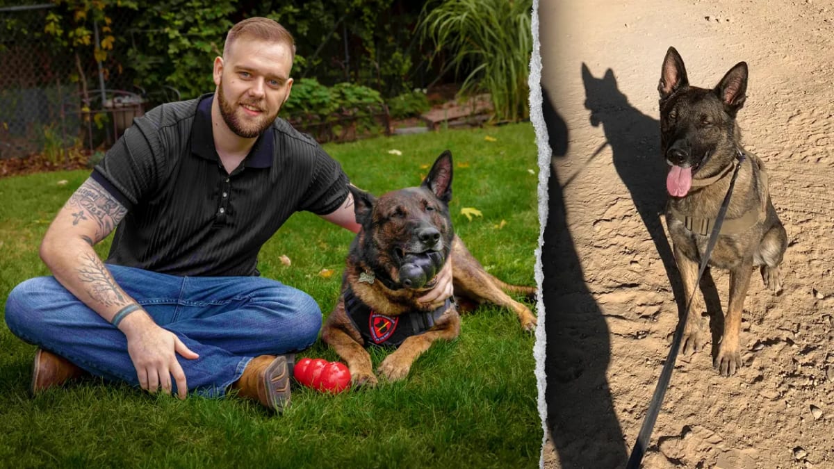 Retired Army Sergeant Michael Fletcher reunited with Dutch Shepherd Dasty in Green Bay Wisconsin