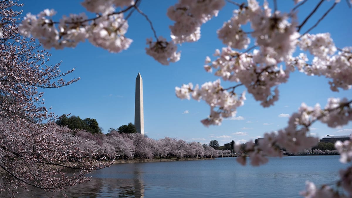 DC Fountains Flow Again After Years of Neglect