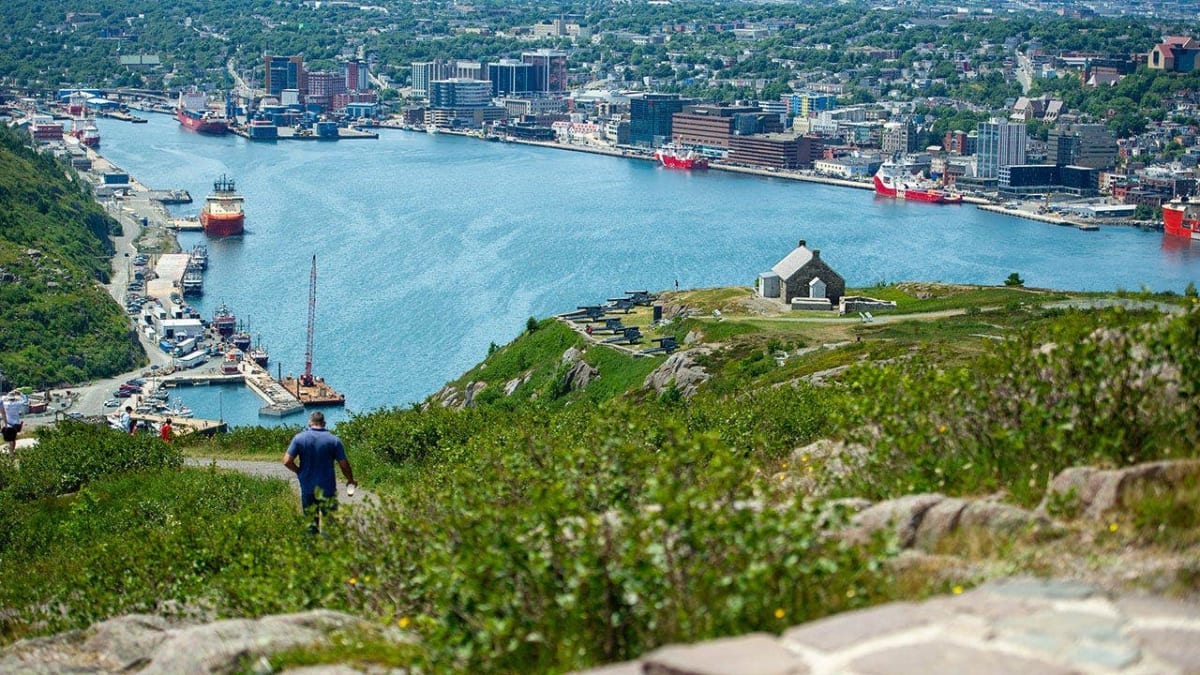 Historic colorful row houses line the harbor in St. John's, Newfoundland, Canada