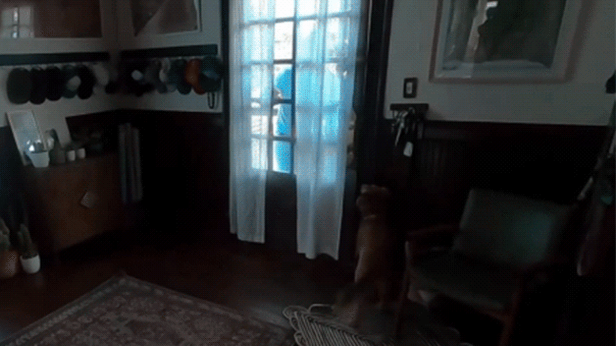 Astronaut Christina Koch Reunites With Dog After Moon Mission