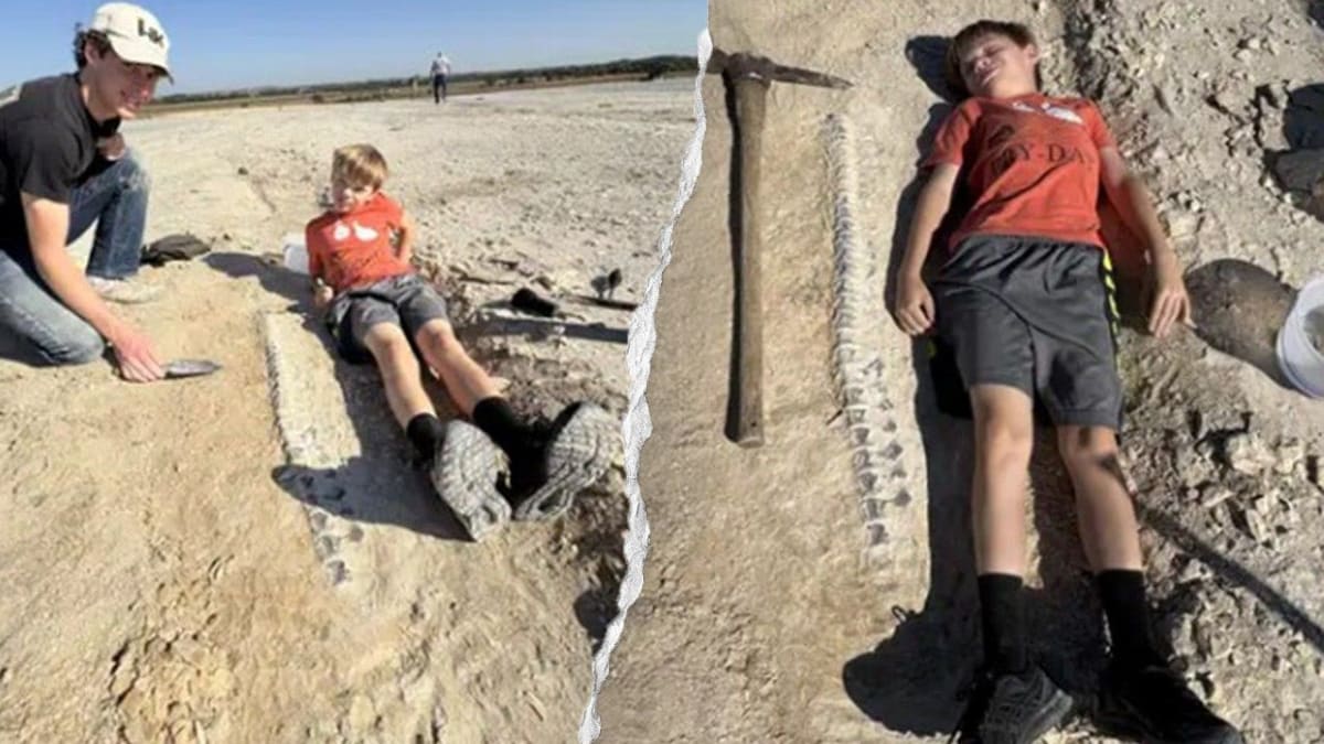 Young boy standing near large fossilized tylosaurus skull and vertebrae from ancient marine reptile