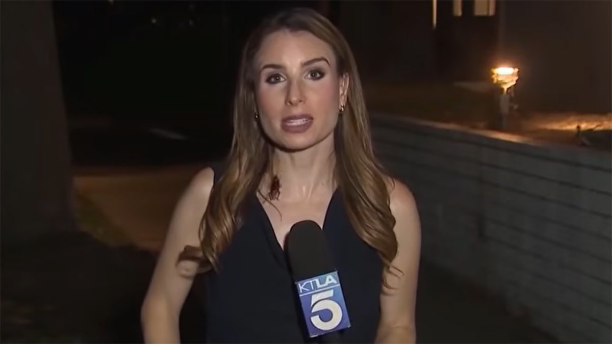 KTLA reporter Rachel Menitoff broadcasting live from Sherman Oaks during nighttime heat wave coverage