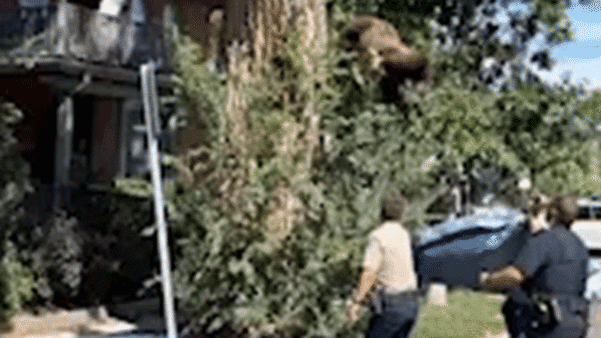 California Dad Paralyzed Saving Child From Riptide - Image 5