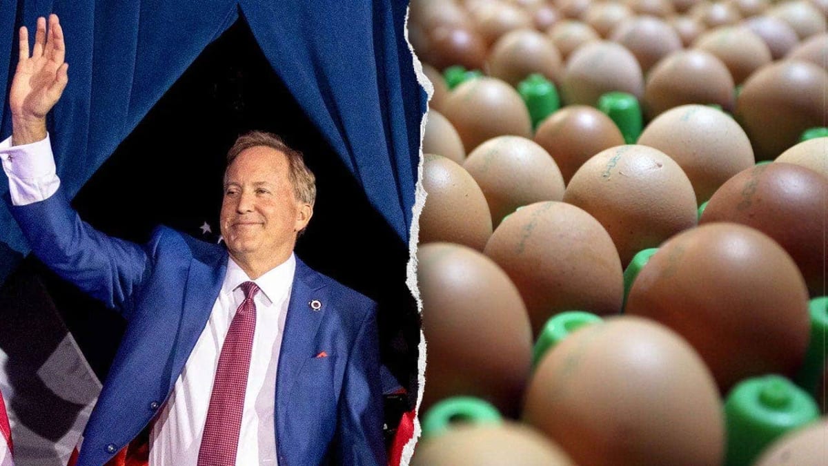 Texas Distributes 7M Free Eggs After Price-Fixing Case