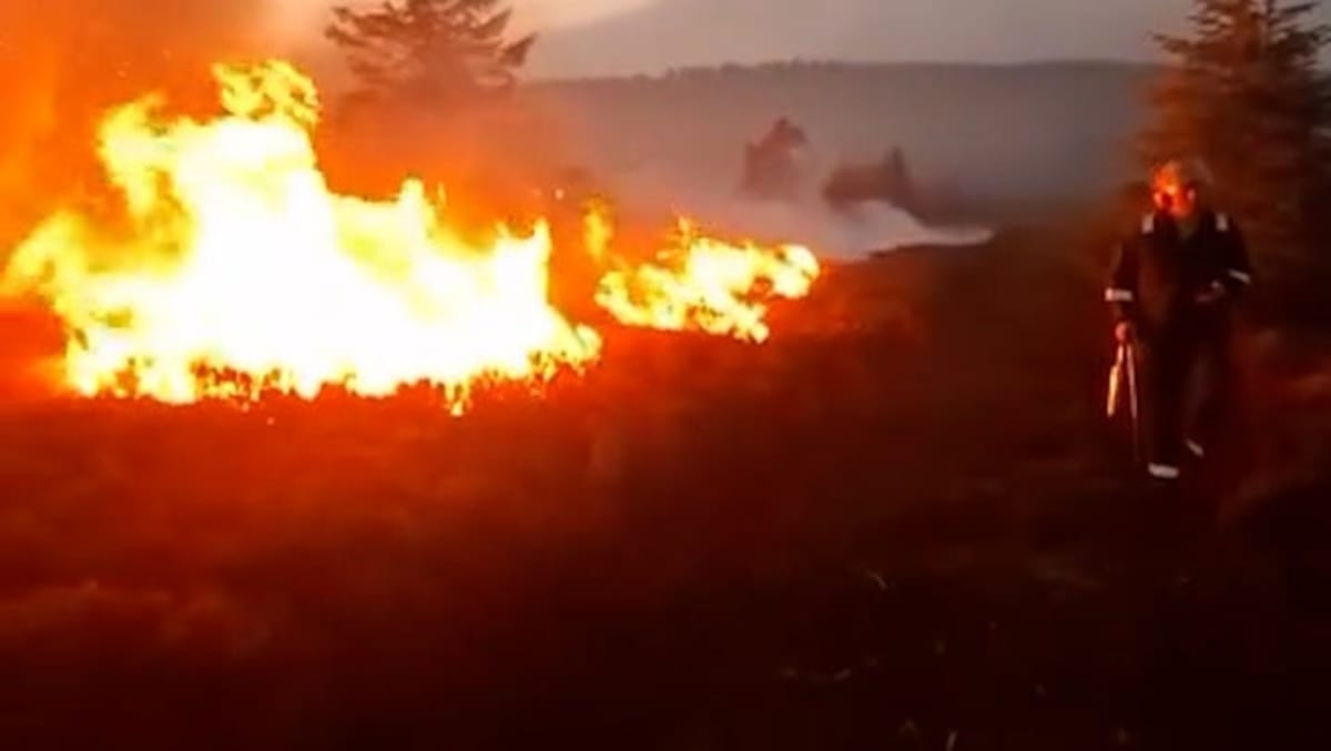 UK Invests £97M to Fight Rising Wildfire Threat - Image 2