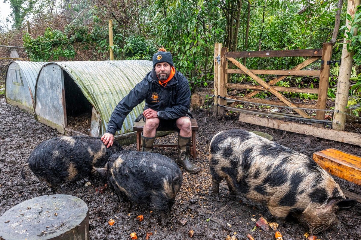Dorset Pigs Find New Home After Council Zoning Battle