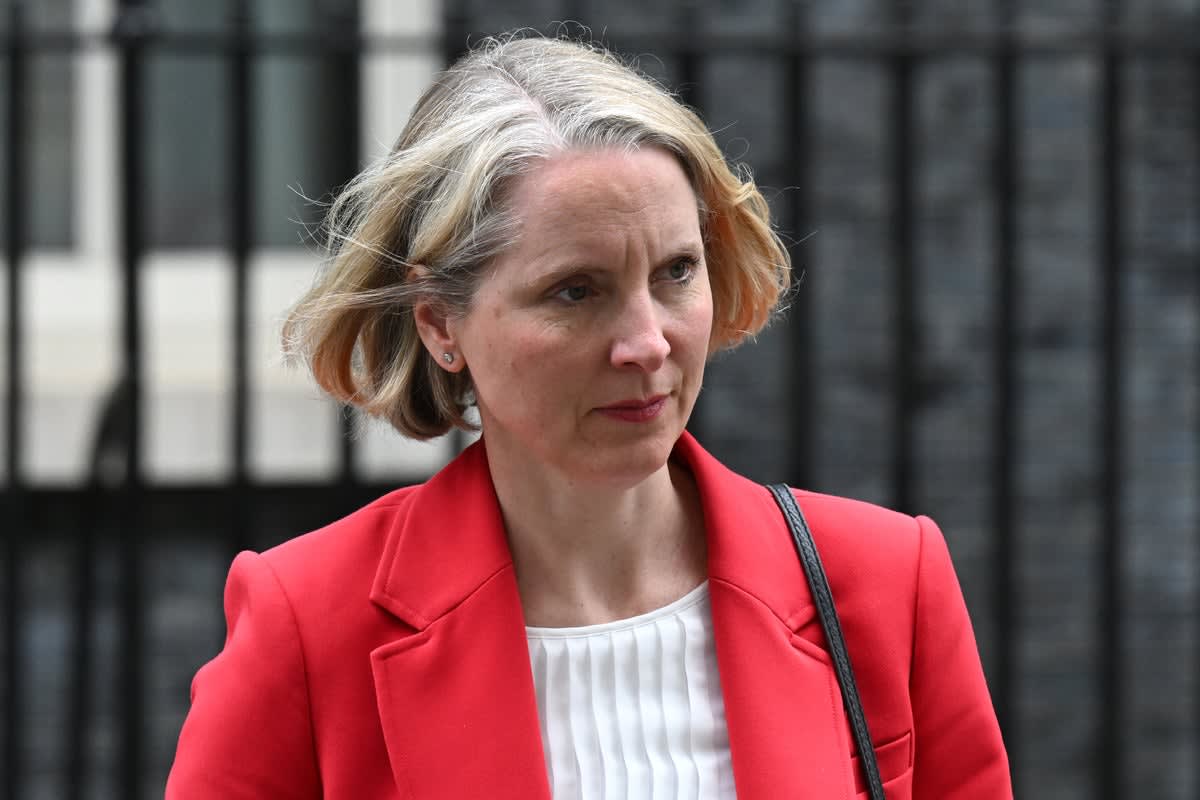 Red-billed chough bird perched on coastal rocks in Kent, England wildlife habitat