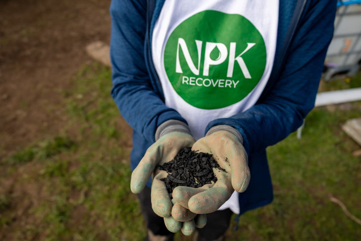 Festival Urine Will Grow 4,500 Trees in Wales - Image 2