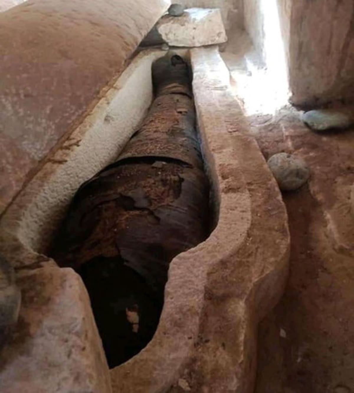 Homer's Iliad Found Inside 1,600-Year-Old Egyptian Mummy - Image 2