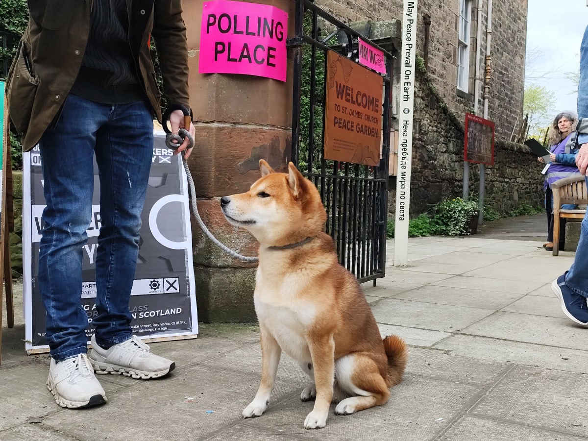 Dogs Join UK Voters at Polling Stations Across Country - Image 2