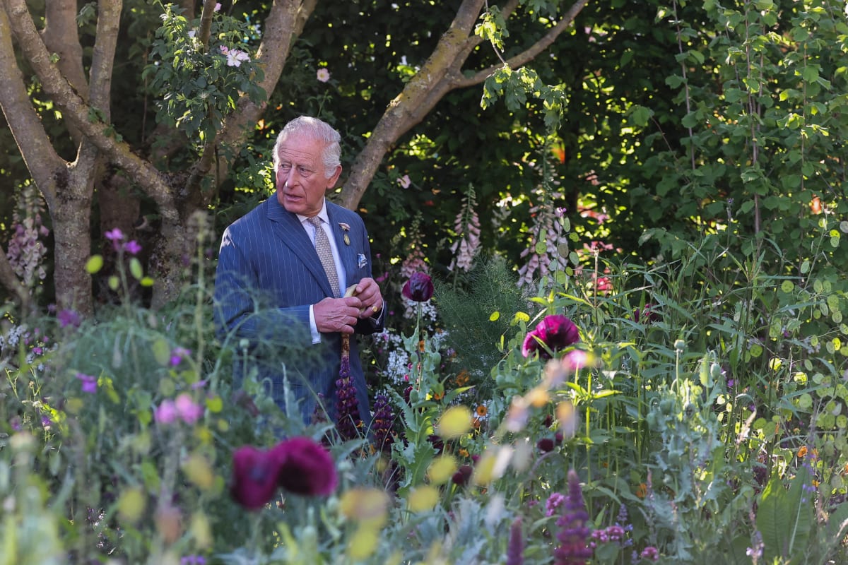 King Charles Opens Venus-Inspired Garden at Windsor Castle - Image 2