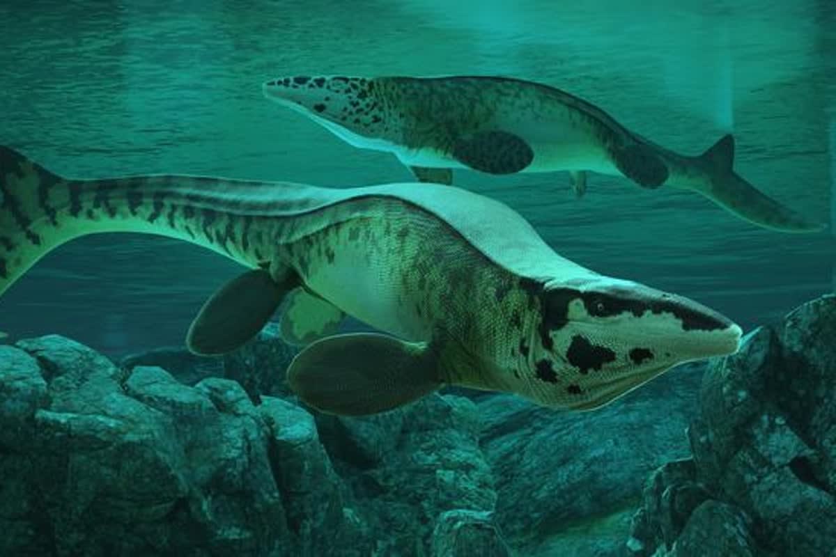 ** Illustration of massive prehistoric marine reptile swimming in ancient ocean waters