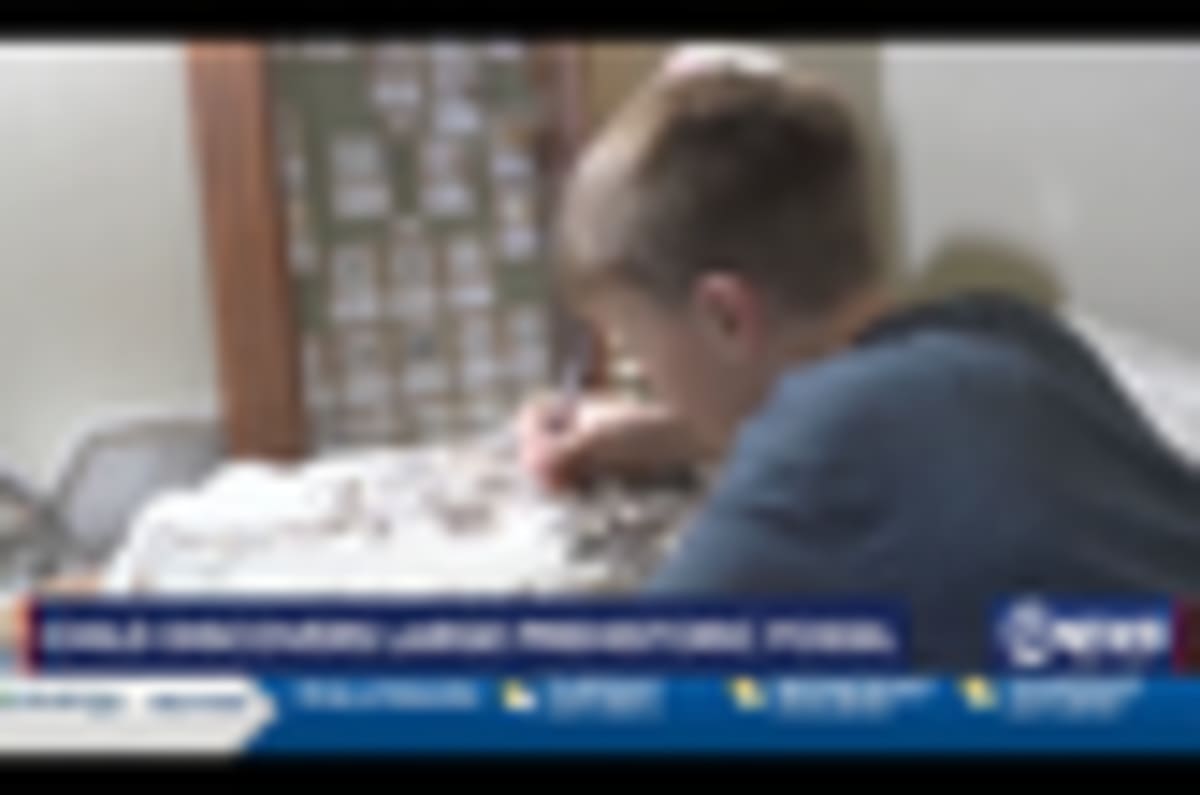 12-Year-Old Finds 80-Million-Year-Old Fossil on Field Trip - Image 2