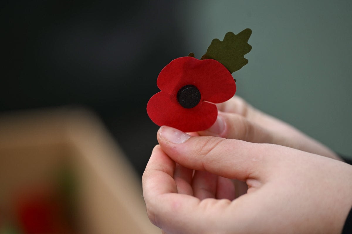 UK Offers Free Rail Travel to Bereaved Military Families