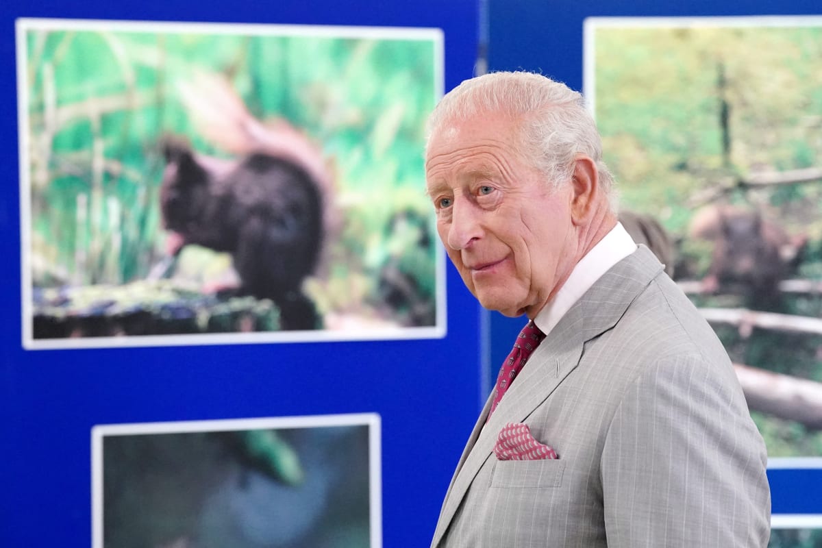 King Charles First Monarch to Share Personal Tax Bill - Image 2