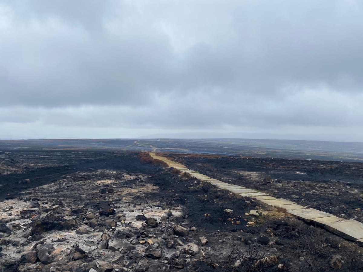 UK Invests £97M to Fight Rising Wildfire Threat - Image 3