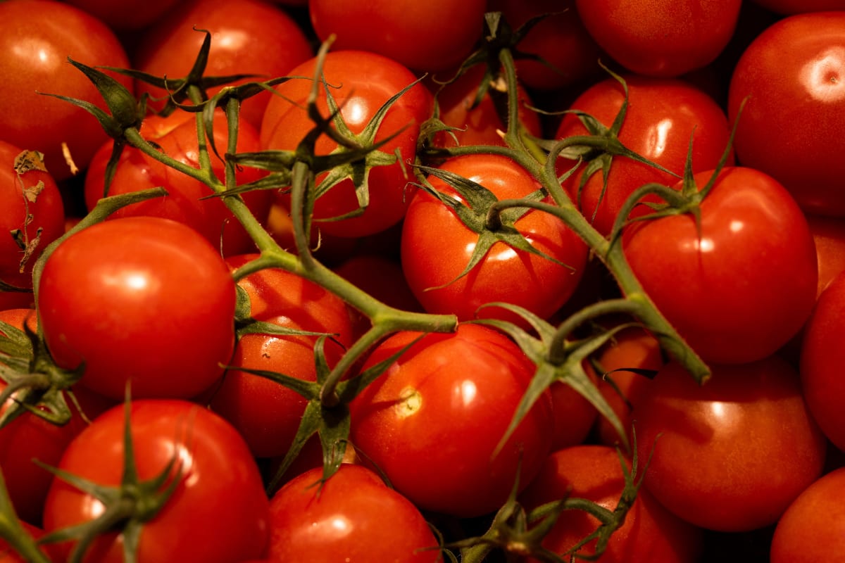 UK Supermarket Signs 10-Year Deal for Year-Round Salads - Image 2