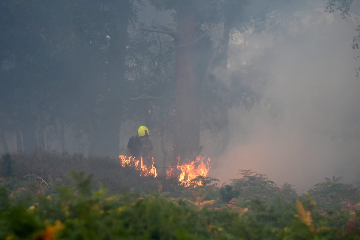 Major UK Retailers Drop Disposable BBQs to Prevent Fires - Image 2