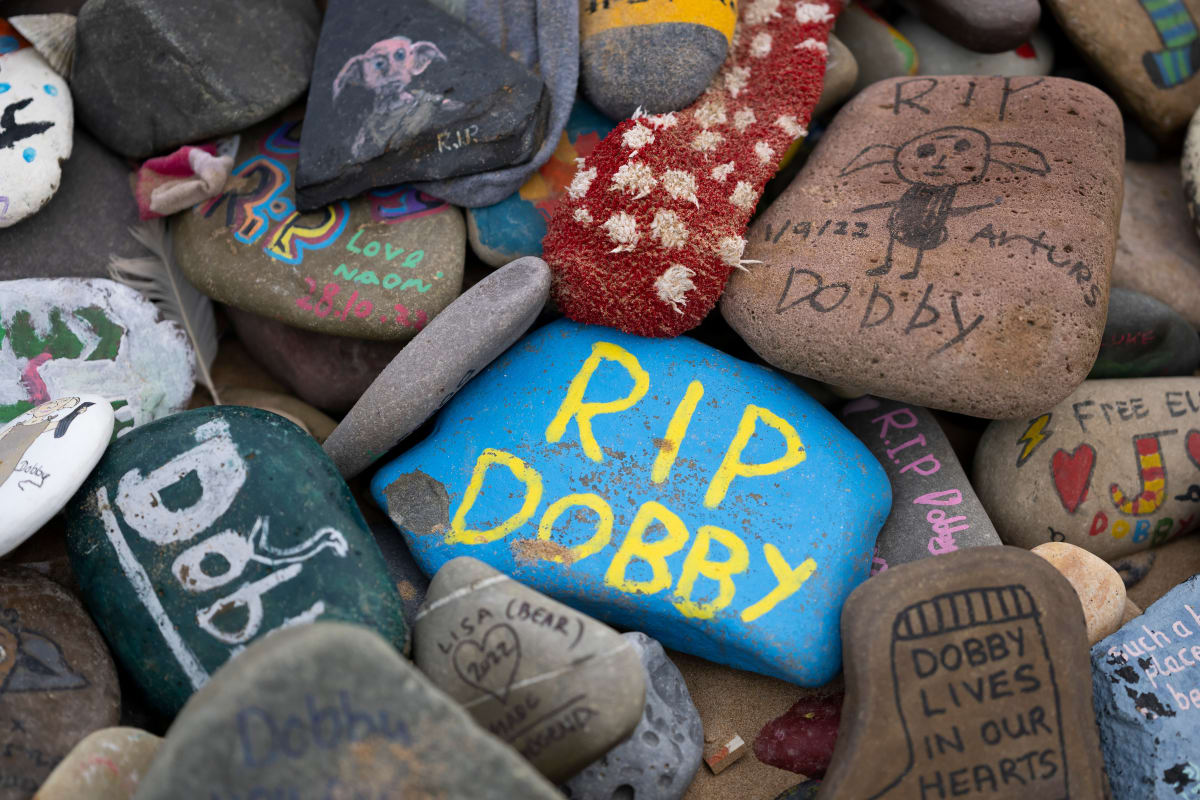 Harry Potter Fans Save Dobby's Beach Grave from Pipeline - Image 2