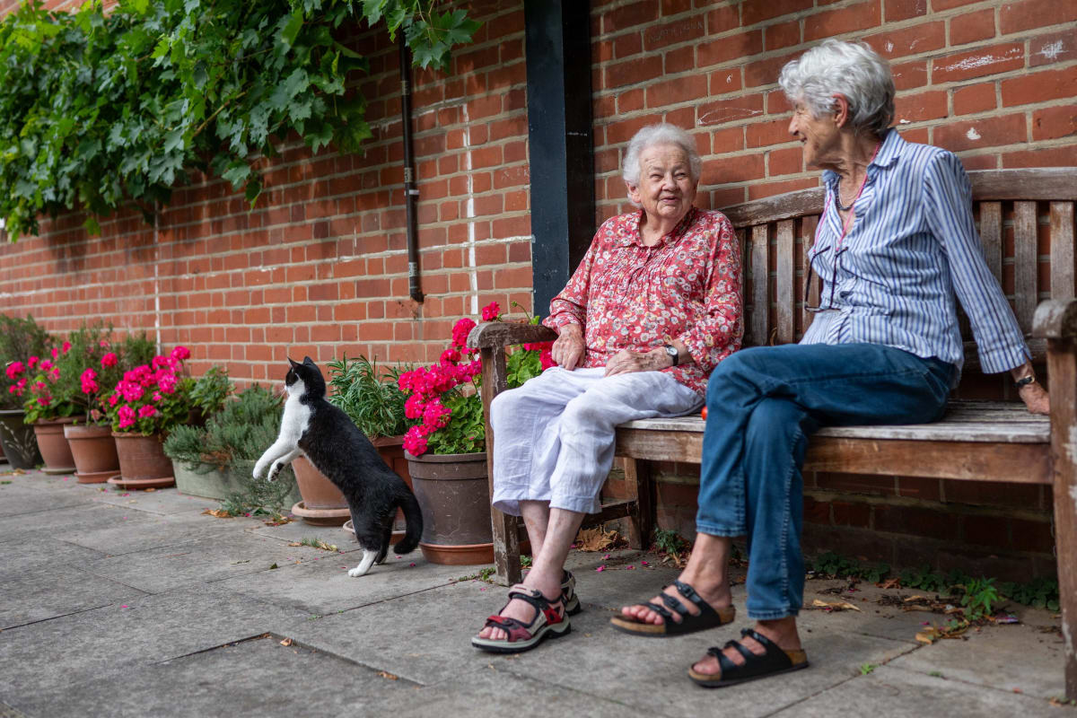 London Neighbors Rally to Save 89-Year-Old's Street Garden - Image 2