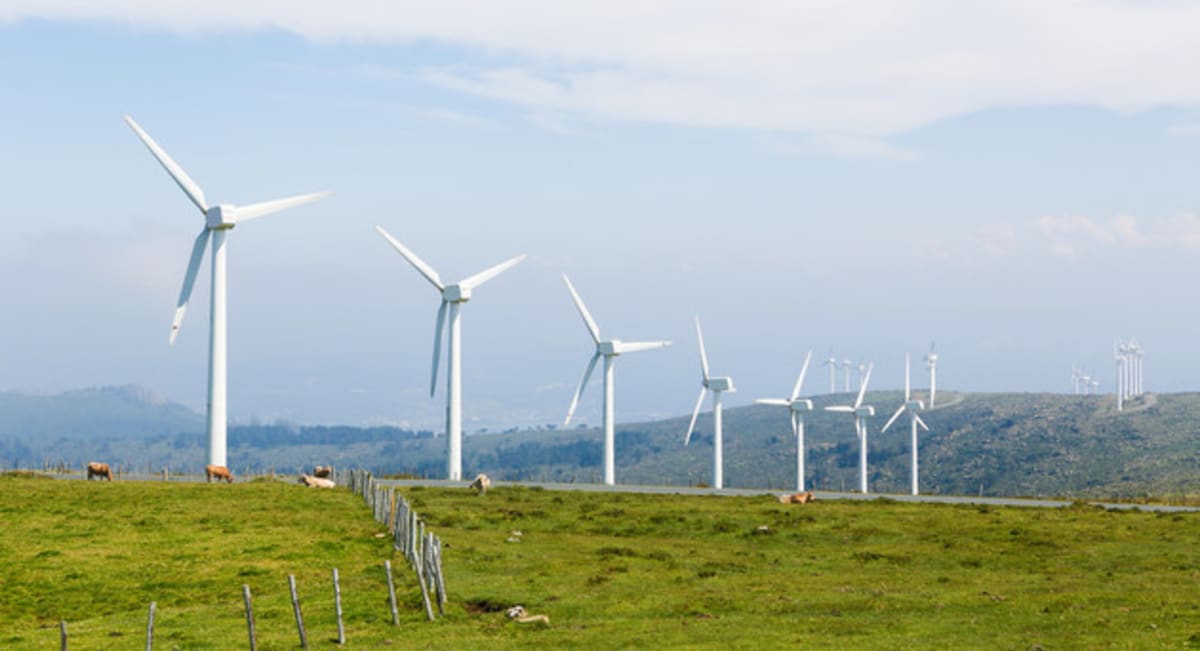 Ukraine Gets €100M for Wind Farm Amid Wartime Resilience - Image 2