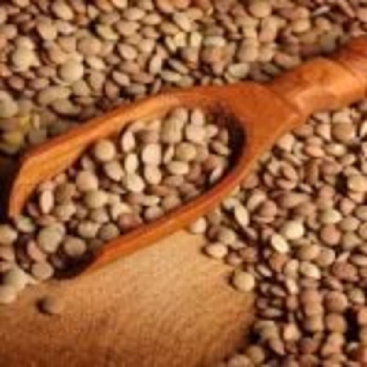 Canadian Researchers Create First Bovine TB Vaccine - Image 3