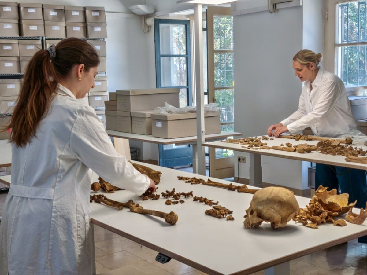 Ancient DNA Shows Romans and Neighbors Merged After Empire Fell - Image 3