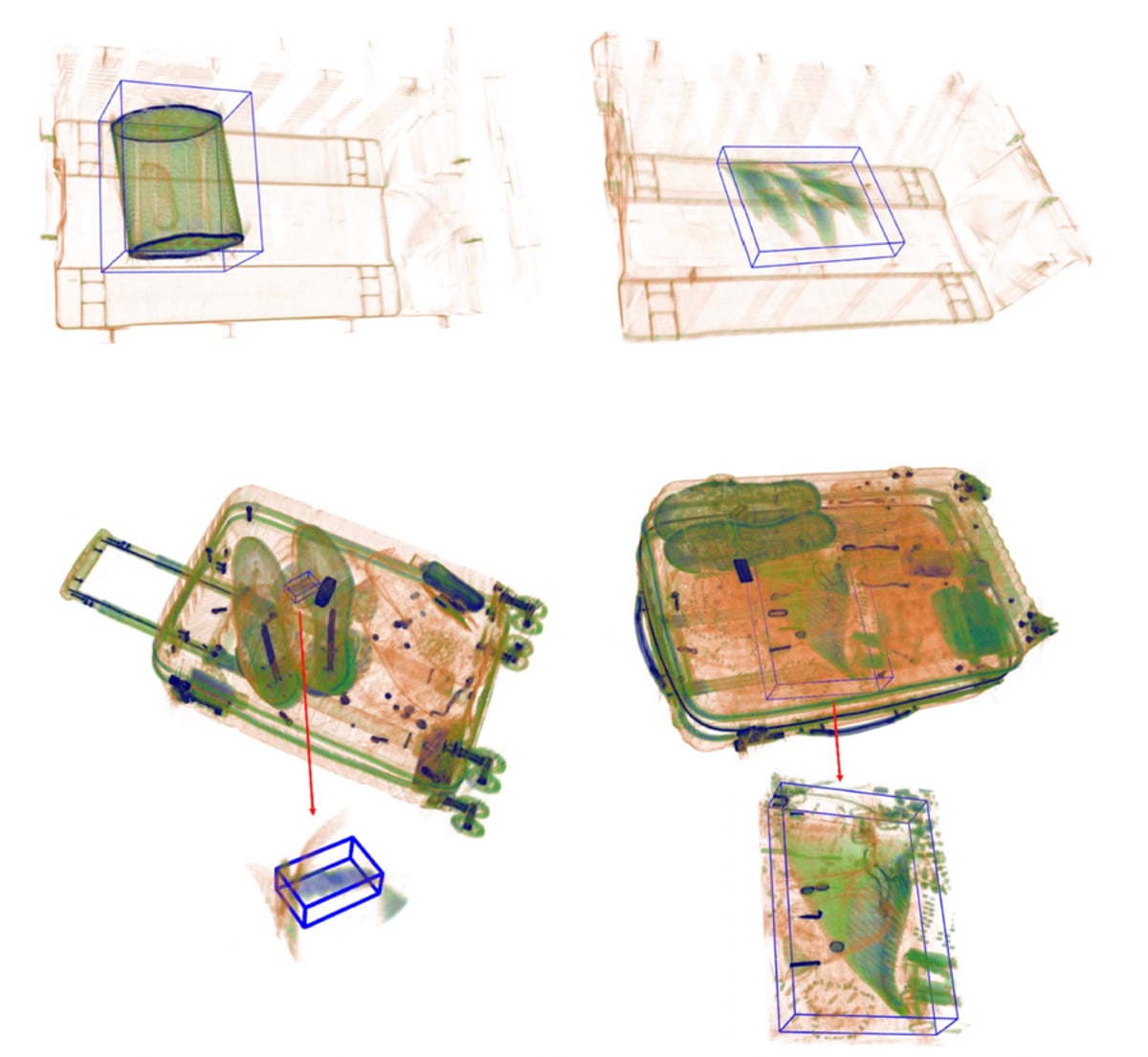 AI Detects Smuggled Sea Creatures in Airport Luggage - Image 3