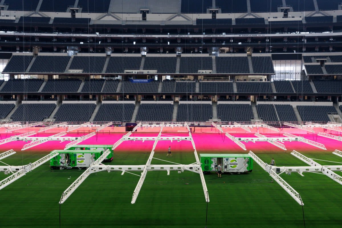 Scientists Engineer Perfect Grass for 2026 World Cup