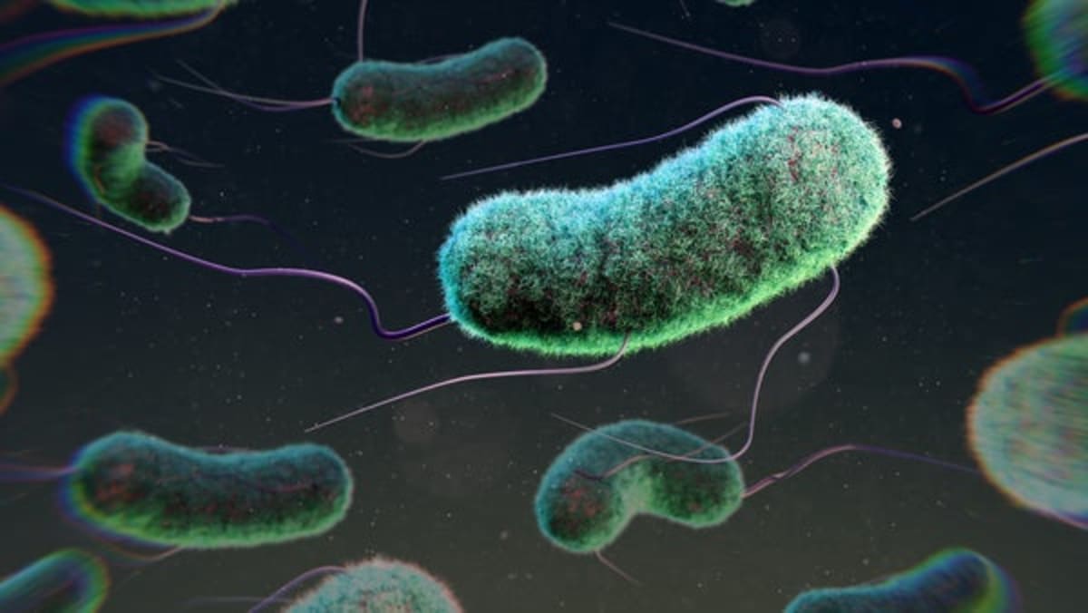 Bacteria-Filled Gel Fights Infections Inside Mice - Image 2