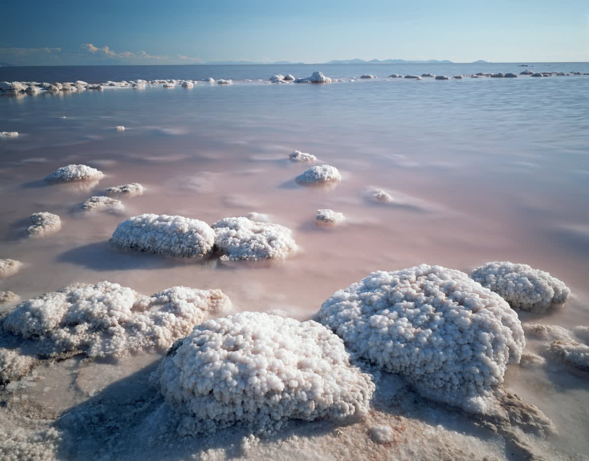 Reed-covered mounds emerging from the receding Great Salt Lake bed in Utah