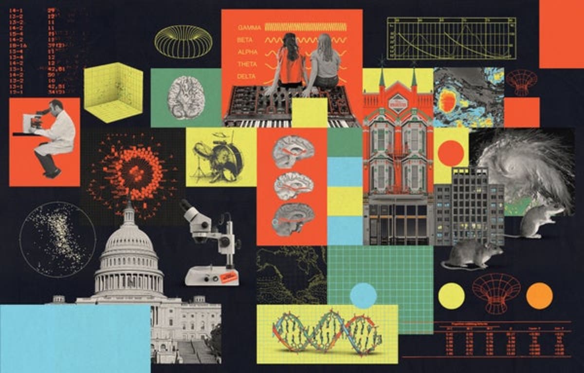 5 Young Scientists Changing Medicine, Climate, and Democracy - Image 2
