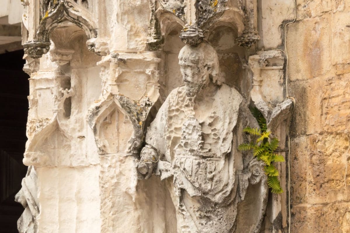 The Ozone Hole Is Healing—And Here's What Fixed It - Image 4