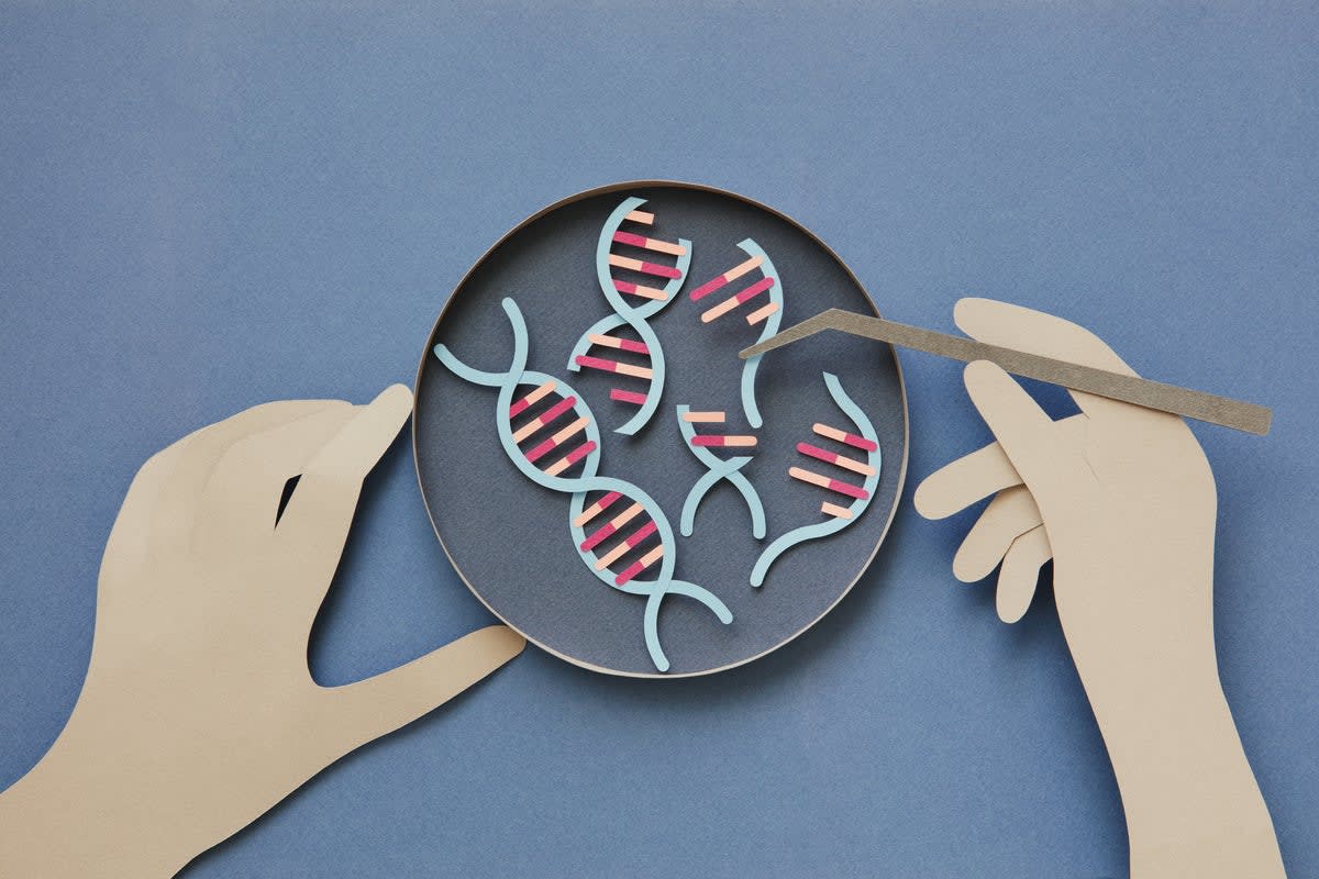 Microscope view of cells showing molecular aging markers shared across mammalian species