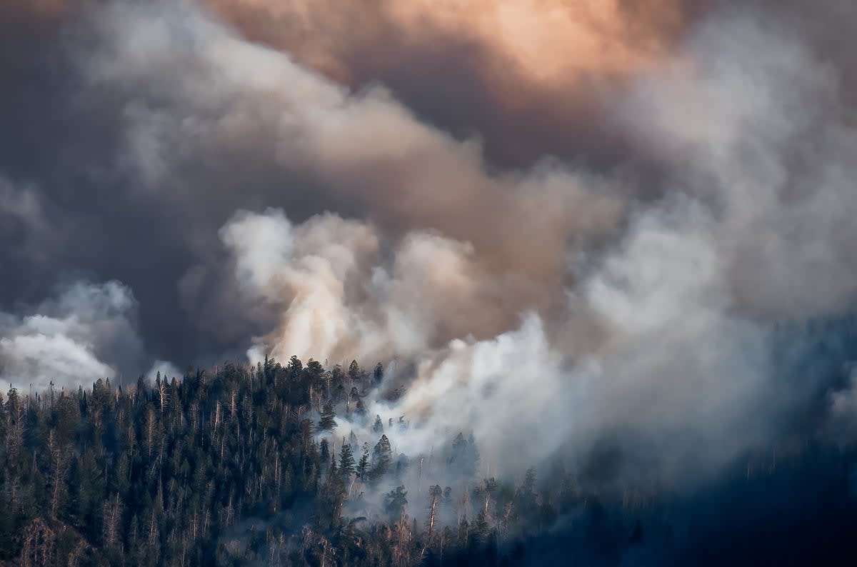New Satellites to Catch Wildfires Before They Spread