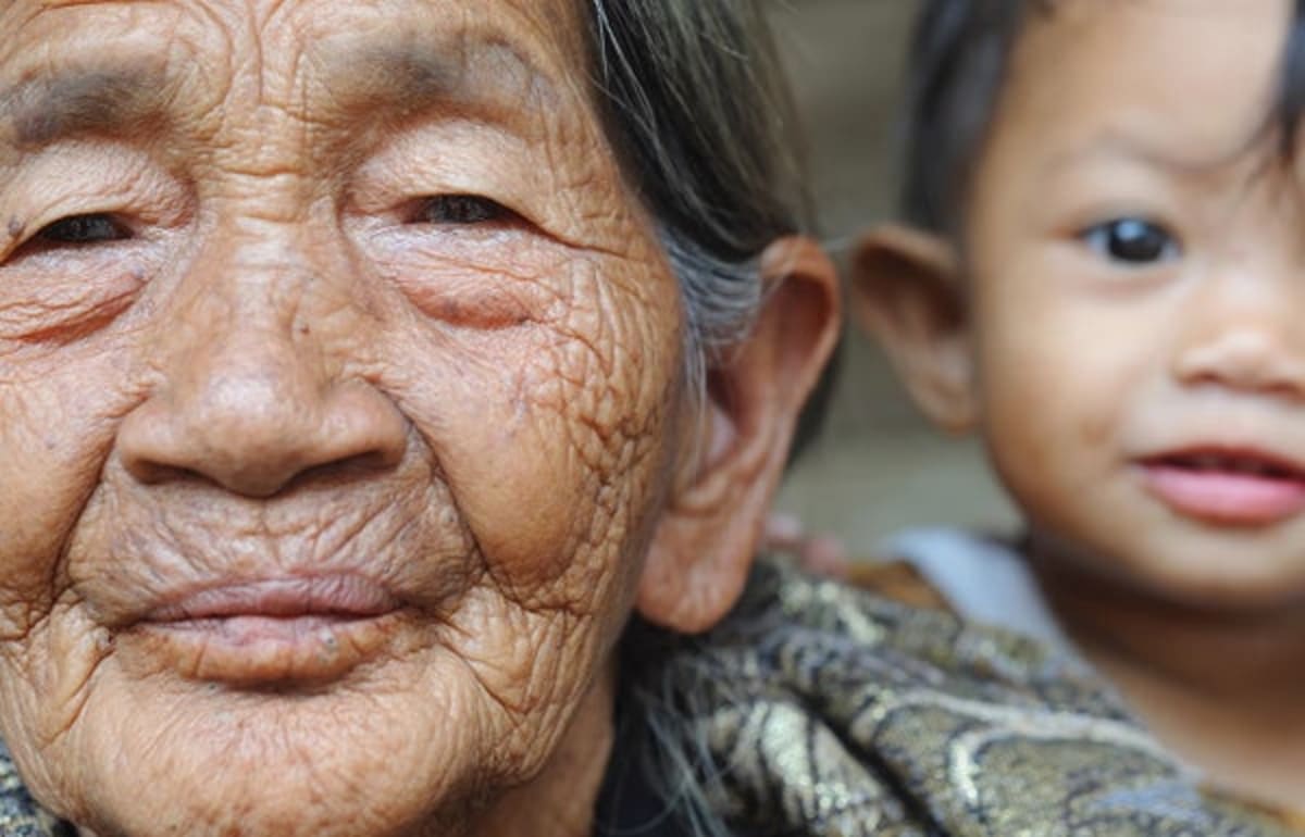 Scientists to Test Age-Reversing Treatment in Humans - Image 2
