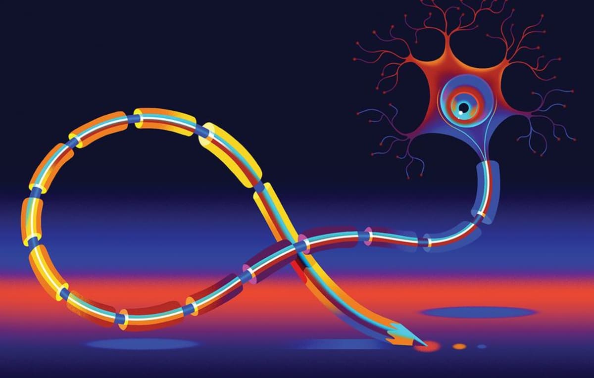 Your Brain Rewrites Reality Into Stories, Scientists Find - Image 3