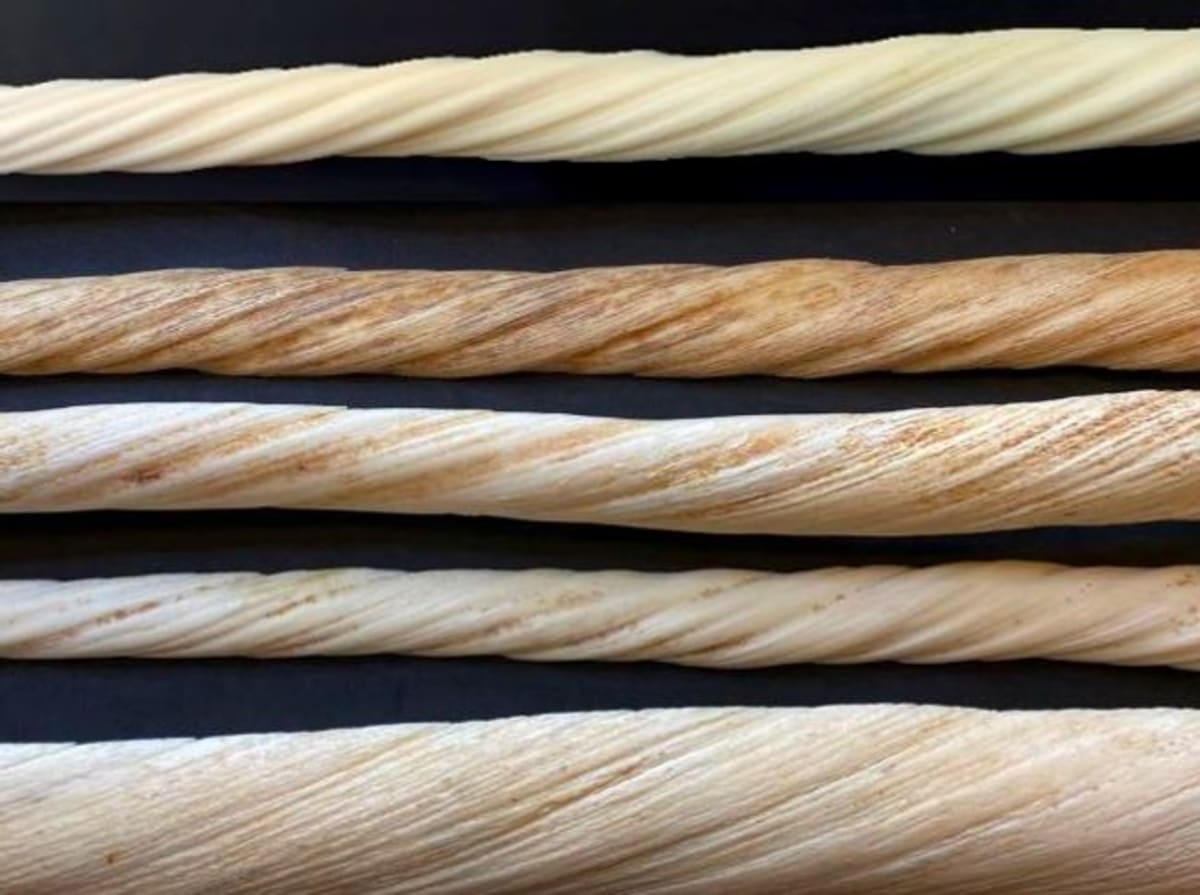 Scientists Solve Mystery of Narwhal's Spiral Tusk - Image 4