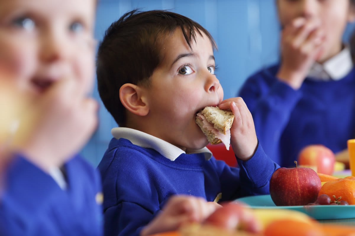 ** Students eating lunch together in a bright school cafeteria, showing diverse group enjoying meals